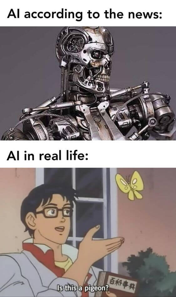 AI according to news : image of Terminator. AI in real life : is this butterfly a pigeon?